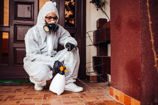 Reliable Wasp Removal contractor in Snow Hill, MD by Show Me Pest Control